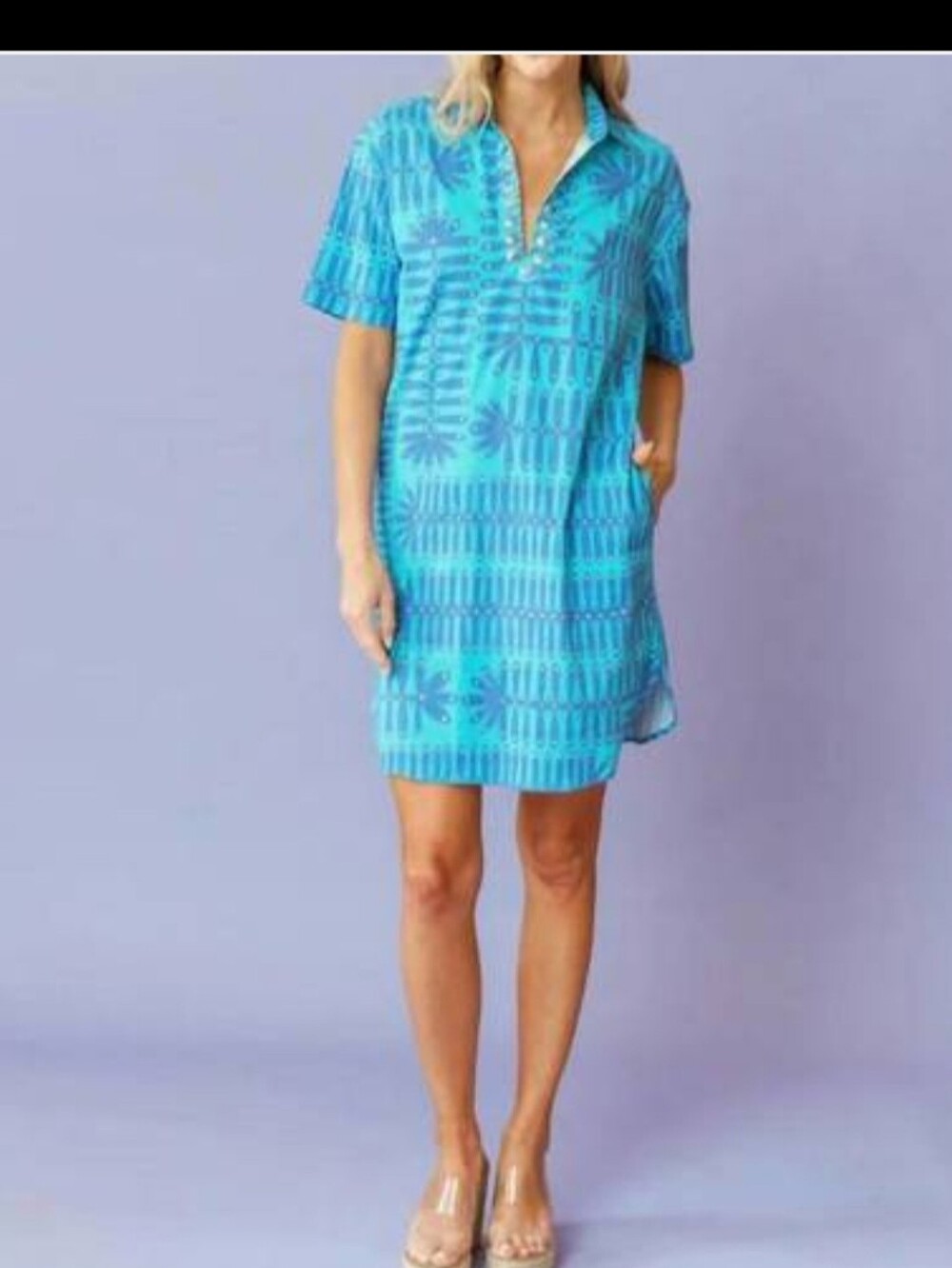 Sheridan French Blue Botanical Rhodes Dress 325.00